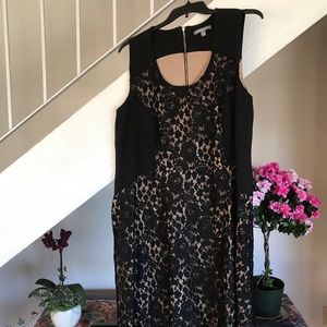 NWOT. Black and gold dress